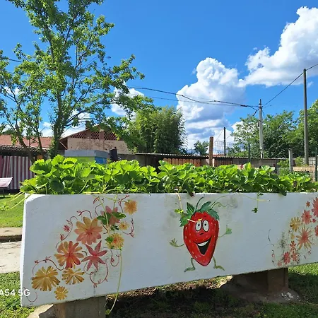 Casa Matilde Hébergement de vacances Leinì