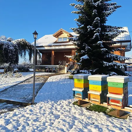 Tatil Evi Casa Matilde Leinì