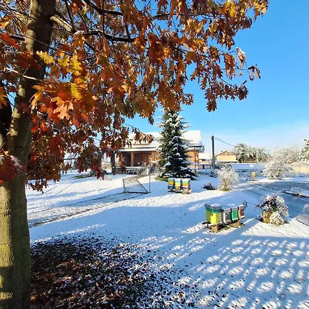 Casa Matilde Hébergement de vacances Leinì