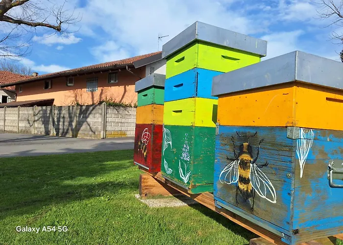 Casa Matilde レイニー