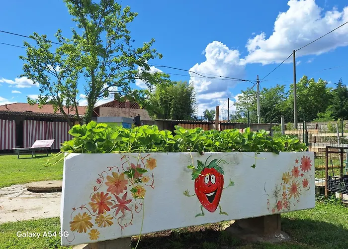 Casa Matilde 別荘 レイニー