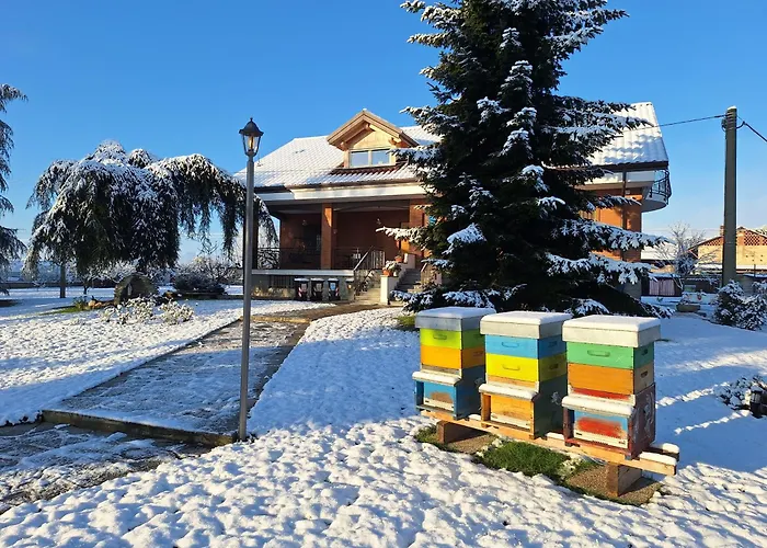 別荘 Casa Matilde レイニー