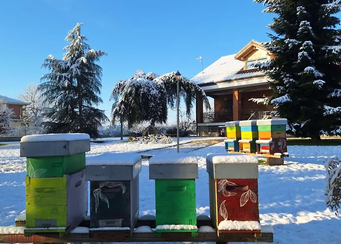 Casa Matilde レイニー